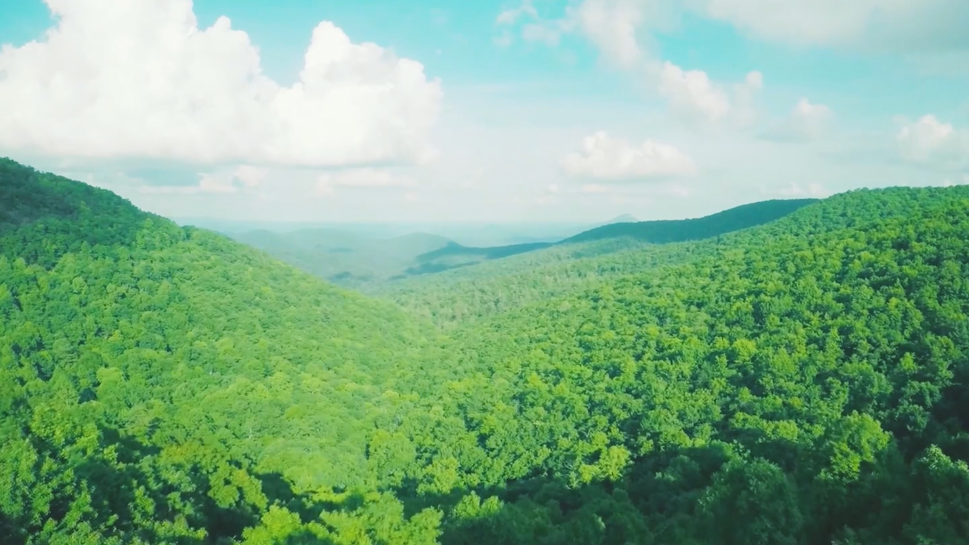 果汁飲料TCV廣告片：福潤果汁